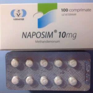 Naposim Methandienone 10 mg kaufen
